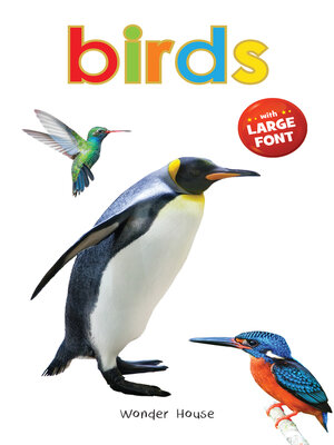 cover image of Birds